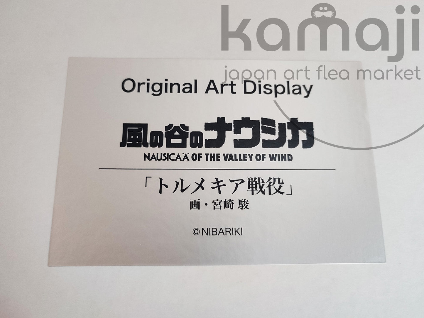 Official Nausicaa of the Valley of the Wind Wall Art/Framed Picture • First DVD release Novelty