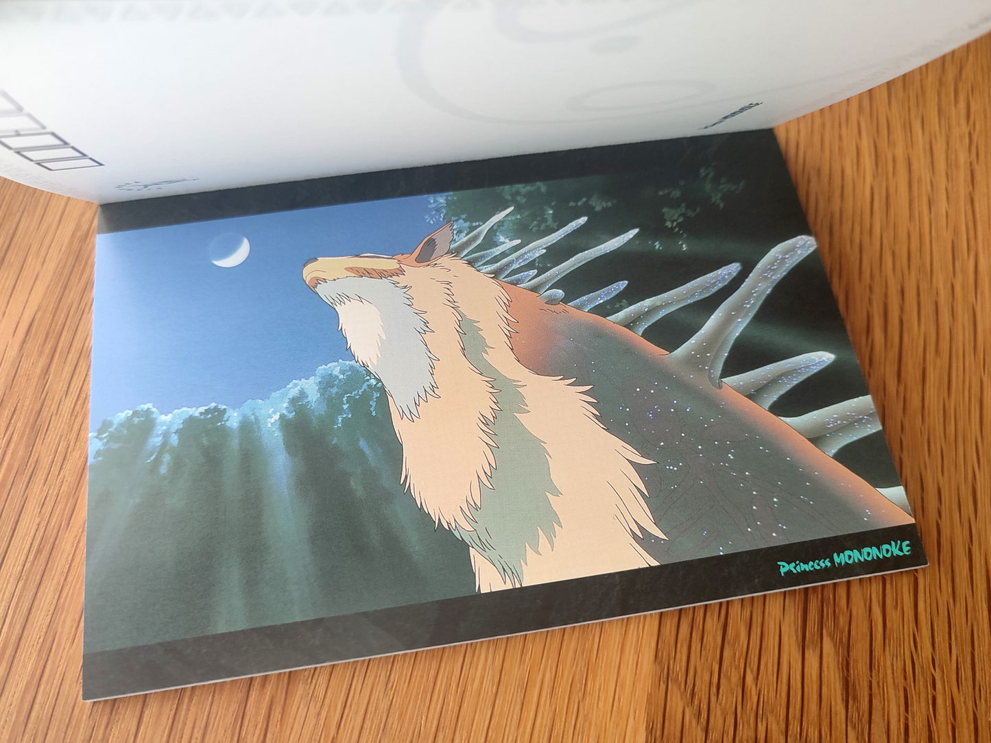 Vintage* Offizielles Ghibli Prinzessin Mononoke Postkartenbuch/Nachrichtenkartenset