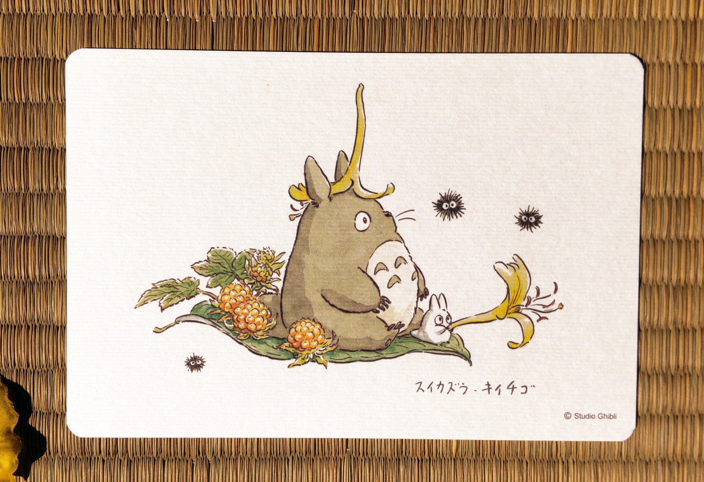 Original Ghibli Studio Totoro 5x Postcards Pack • Vintage style Message card/Writing letter • My Neighbor Totoro Fund Japanese Stationery