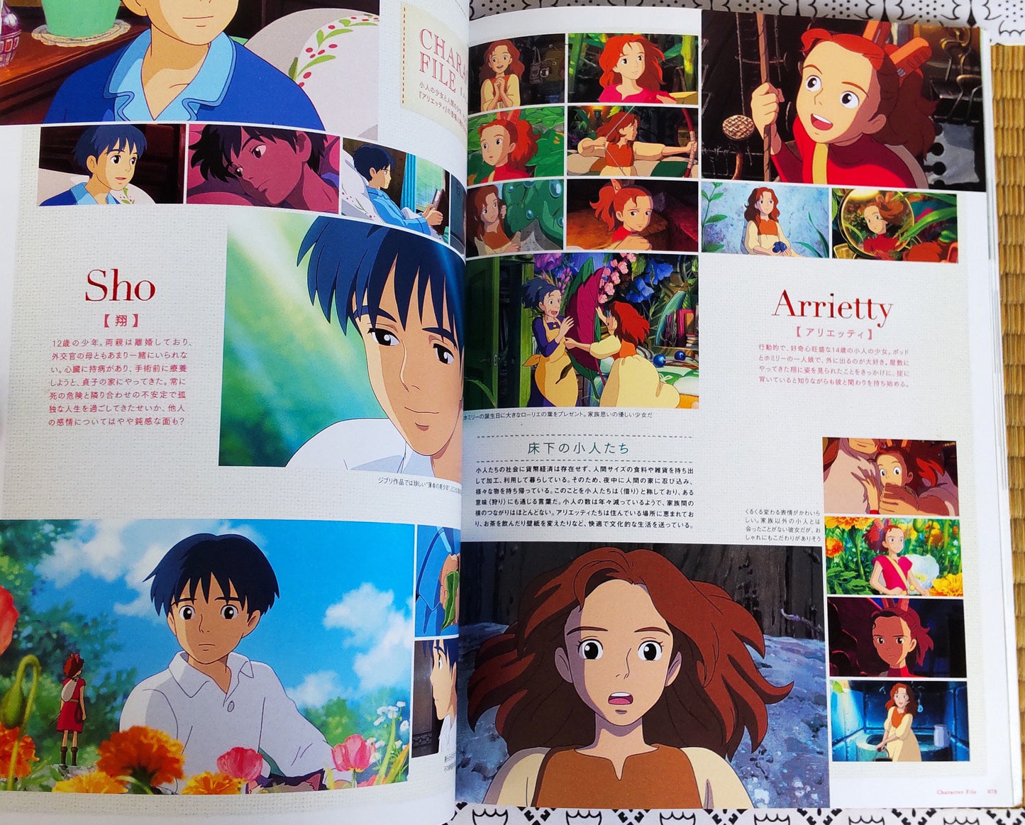 Original Ghibli Arrietty Artbook "Roman Album" • Arrietty the Borrower Anime Painting Art Book • Japanese Studio Ghibli Gift