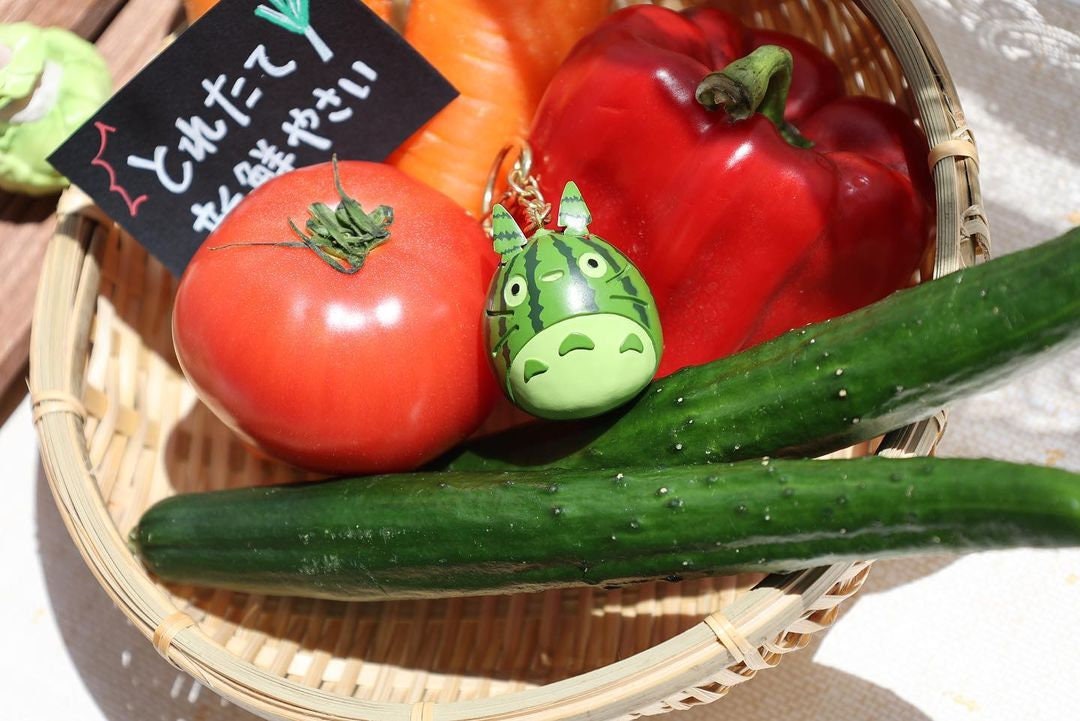 Original Ghibli Studio Totoro Strap/Bag Charm • My Neighbor Totoro Keychain • Anime Watermelon Fruit Summer Gift