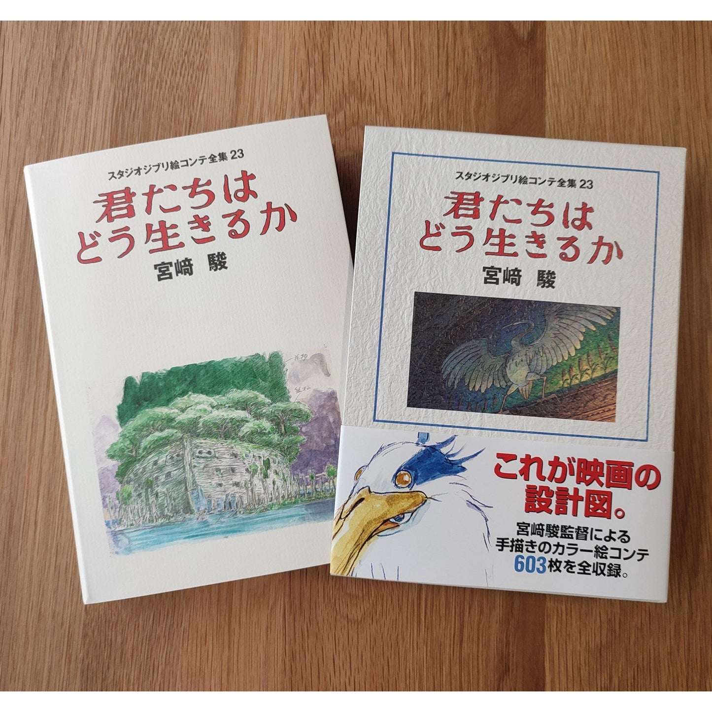 Original Ghibli The Boy and the Heron Storyboard • How do you live? Japanese Painting Art Book • Anime Studio Ghibli Gift