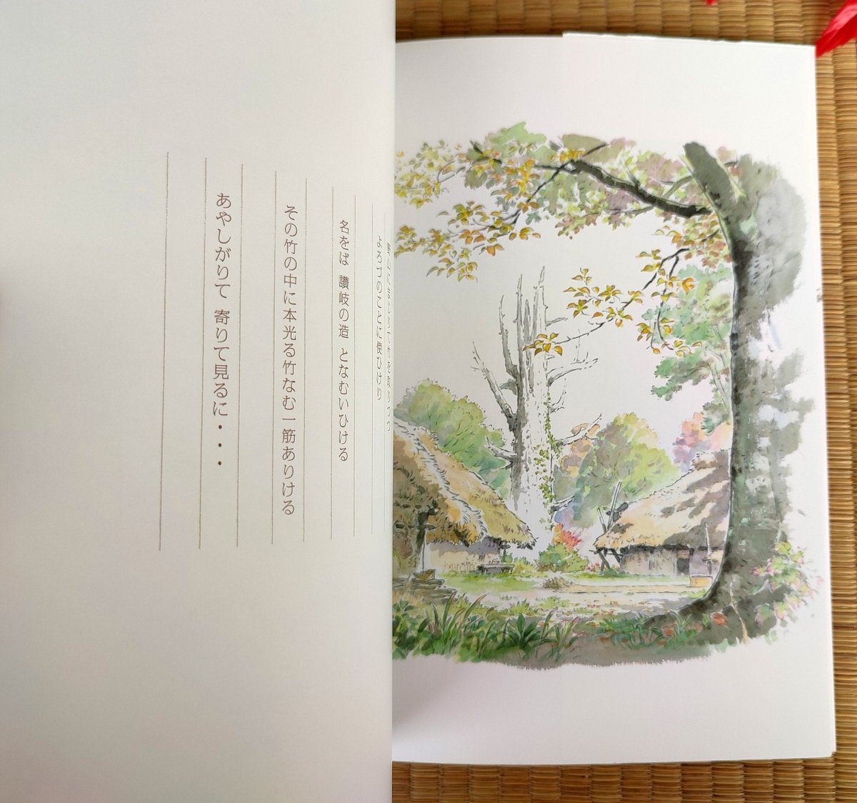 Official Ghibli Kaguya Visual Guide Artbook • The Tale of the Princess Kaguya Anime Painting Art Book - Kamaji Market