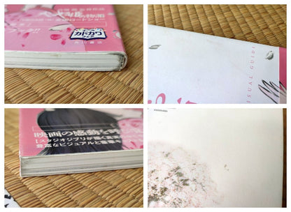 Official Ghibli Kaguya Visual Guide Artbook • The Tale of the Princess Kaguya Anime Painting Art Book - Kamaji Market