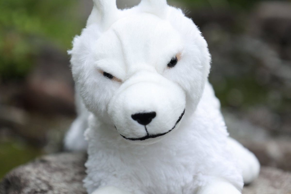 Official Ghibli Mononoke Plush Toy • Moro Wolf Stuffed Animal/Figure/Home Decor - Kamaji Market