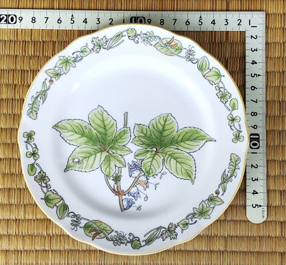 Official Ghibli Totoro 17cm Noritake Plate/Dish • Japanese Ceramic Appetizer/Dessert/Bread Plate • My Neighbor Totoro Tableware/Dinnerware - Kamaji Market