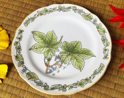 Official Ghibli Totoro 17cm Noritake Plate/Dish • Japanese Ceramic Appetizer/Dessert/Bread Plate • My Neighbor Totoro Tableware/Dinnerware - Kamaji Market