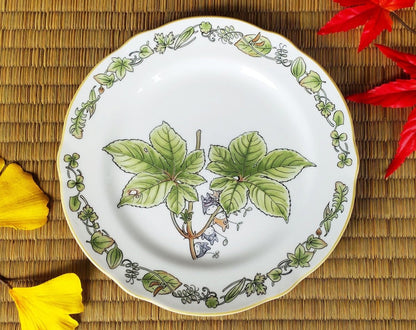Official Ghibli Totoro 17cm Noritake Plate/Dish • Japanese Ceramic Appetizer/Dessert/Bread Plate • My Neighbor Totoro Tableware/Dinnerware - Kamaji Market