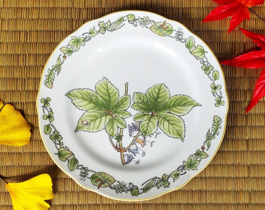 Official Ghibli Totoro 17cm Noritake Plate/Dish • Japanese Ceramic Appetizer/Dessert/Bread Plate • My Neighbor Totoro Tableware/Dinnerware - Kamaji Market