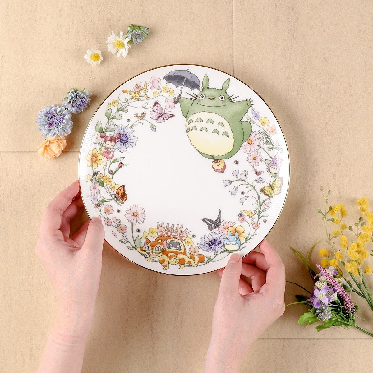 Official Ghibli Totoro Plate 2024 Noritake • My Neighbor Totoro
