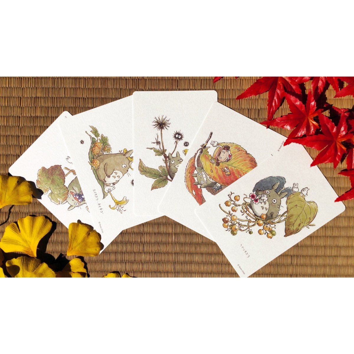 Official Studio Ghibli My Neighbor Totoro 5x Postcards Set • Vintage Style Stationery • Hayao Miyazaki drawings • Totoro Fund - Kamaji Market