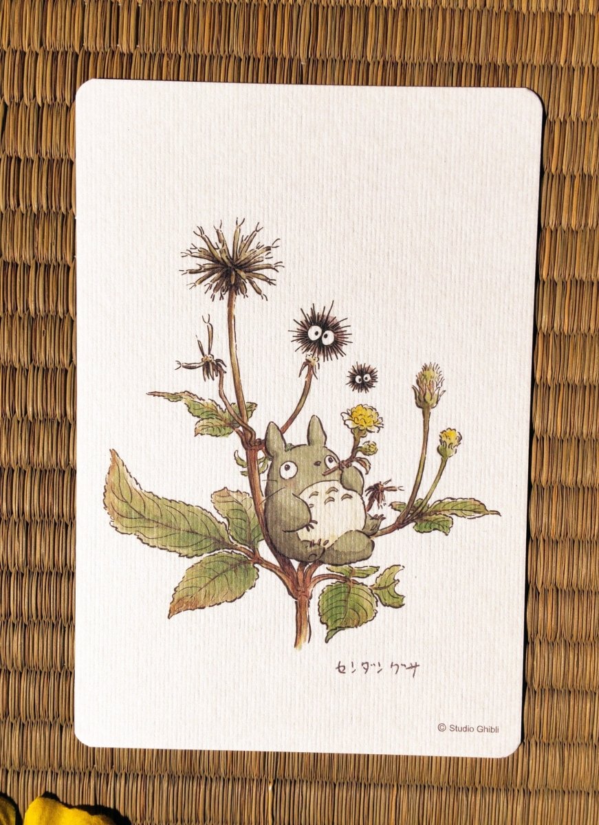 Official Studio Ghibli My Neighbor Totoro 5x Postcards Set • Vintage Style Stationery • Hayao Miyazaki drawings • Totoro Fund - Kamaji Market