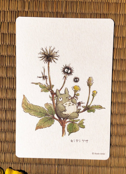 Official Studio Ghibli My Neighbor Totoro 5x Postcards Set • Vintage Style Stationery • Hayao Miyazaki drawings • Totoro Fund - Kamaji Market