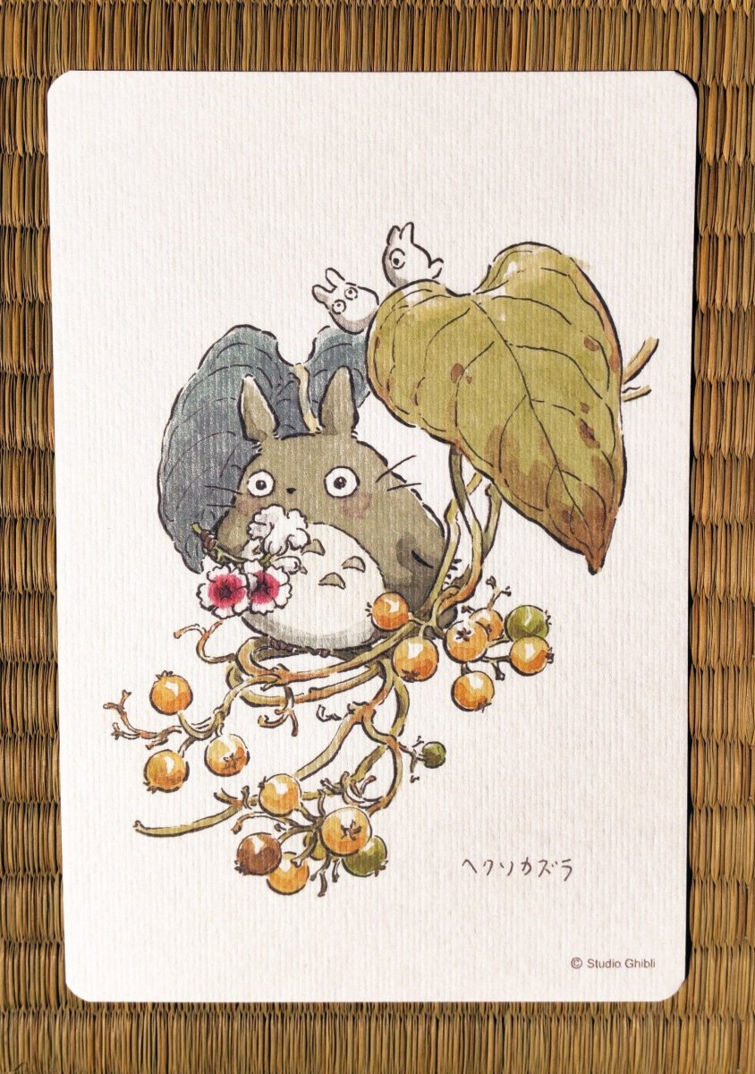 Official Studio Ghibli My Neighbor Totoro 5x Postcards Set • Vintage Style Stationery • Hayao Miyazaki drawings • Totoro Fund - Kamaji Market