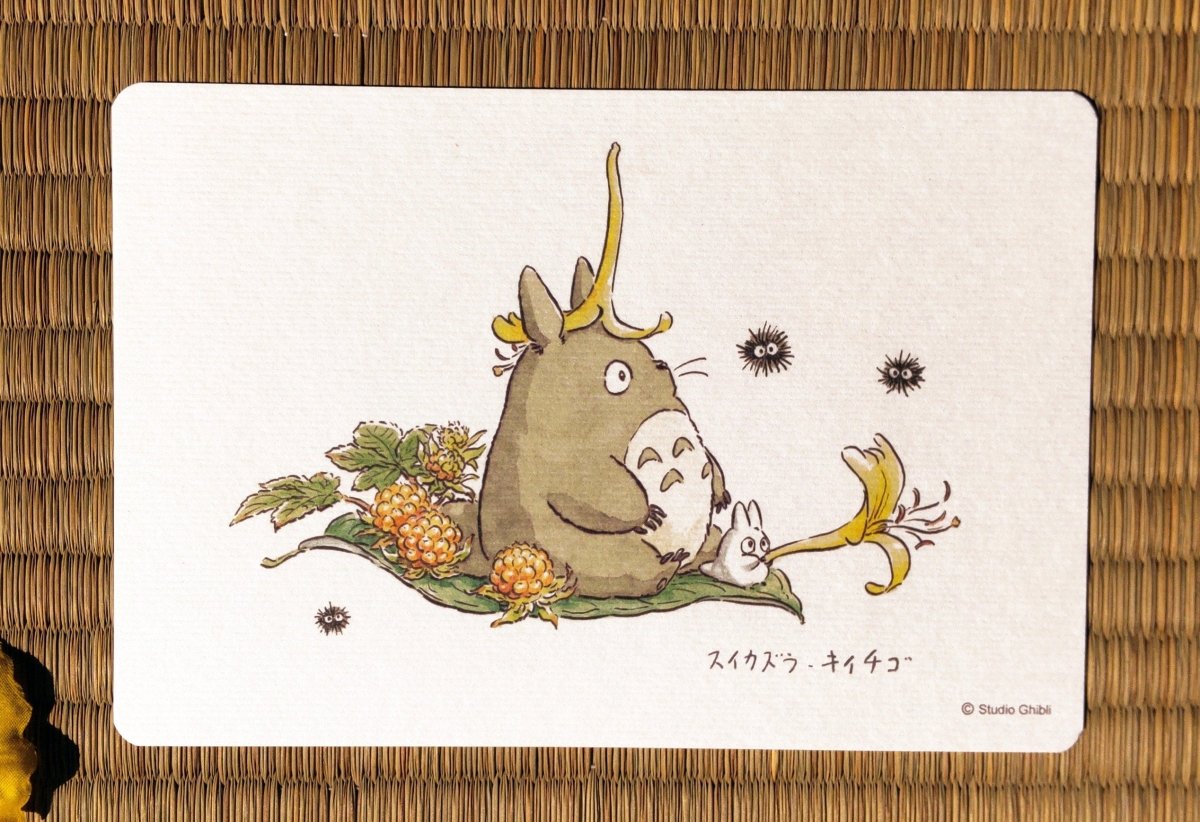 Official Studio Ghibli My Neighbor Totoro 5x Postcards Set • Vintage Style Stationery • Hayao Miyazaki drawings • Totoro Fund - Kamaji Market