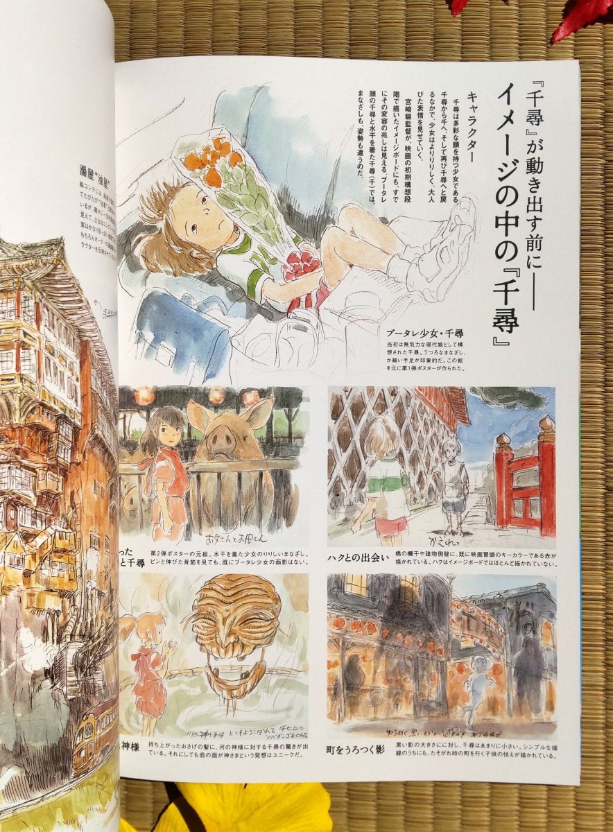 Vintage* Studio Ghibli Artbook 