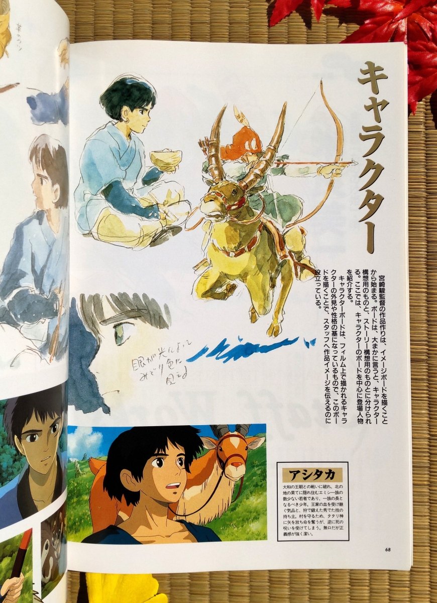 Vintage* Studio Ghibli Mononoke Artbook 